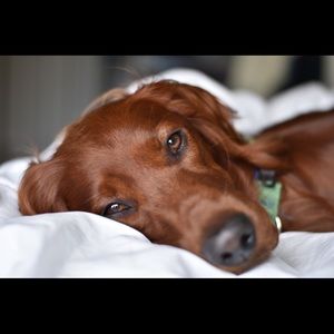 Meet your Posher, Vickie